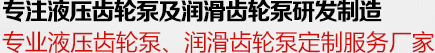 專注液壓齒輪及（jí）潤滑齒（chǐ）輪泵研發製造25年